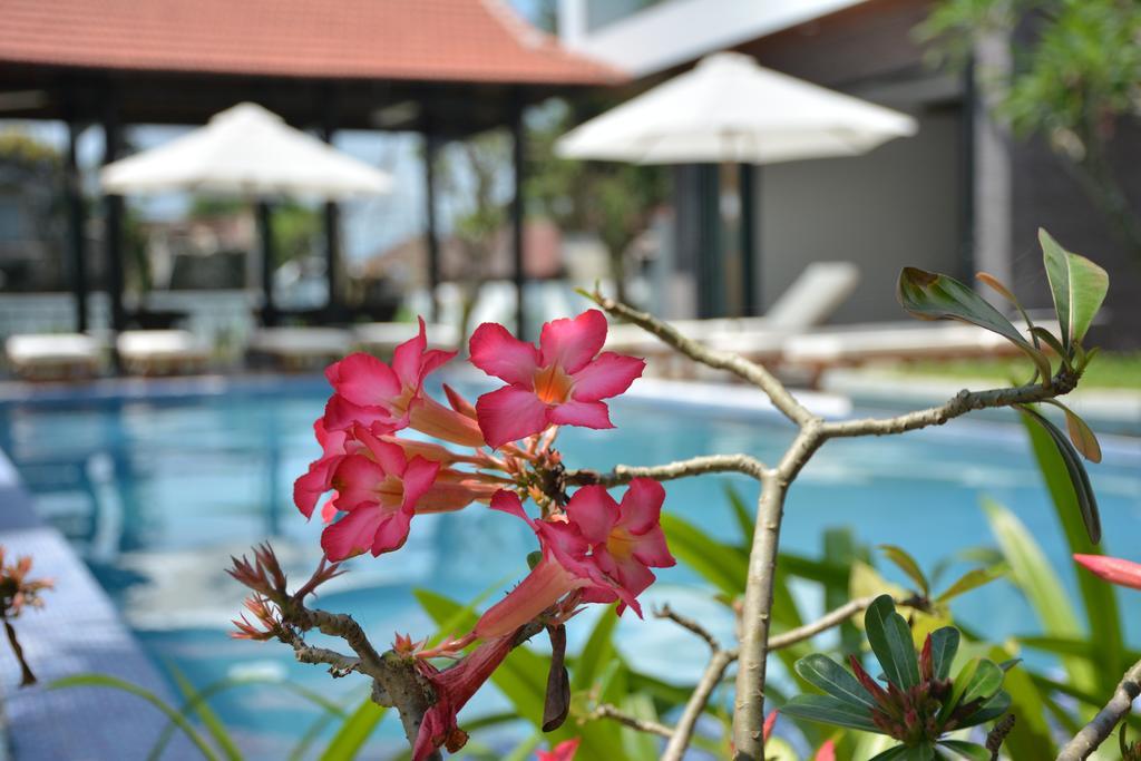Aquarium Villa ฮอยอัน ภายนอก รูปภาพ